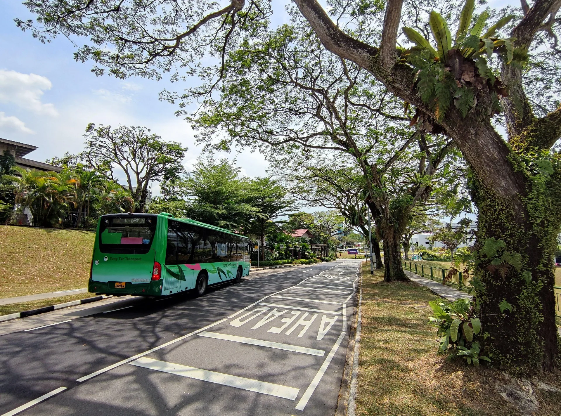 Road Traffic Act Singapore